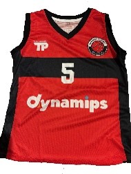 DYNAMIPS
